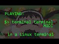 terminal terminal in a Linux terminal
