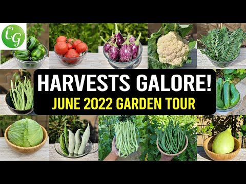 Gardening EPIC Garden Harvests FALL Organic Gardening Prep Garden Tour