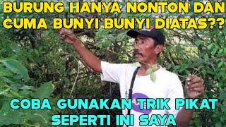 Download lagu GUNAKAN TRIK PIKAT SEPERTI INI BILAH BURUNG HANYA NONTON DAN TIDAK MAU TURUN mp3
