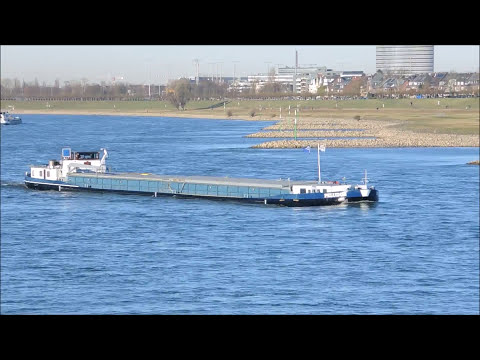 MS Peludos der richtige Sound