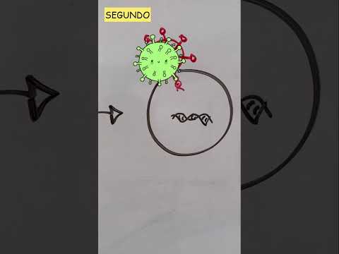 Virus: mecanismo de infección #shorts