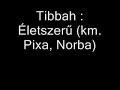 Életszerű (km. Pixa, Norba)