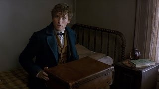 【怪獸與牠們的產地】首支中文預告，2016年11月3D上映