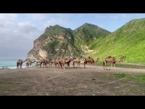Amazing view Masood Hidden Beach Salalah Oman