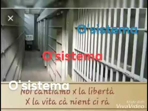 Pino Rossello a libertà 2017