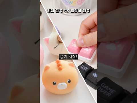 키캡 vs 말랑이 누가 먼저 탈출 할까~?!!?