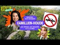 Montréal veut redonner Camilien-Houde aux piétons, aux cyclistes et à la forêt