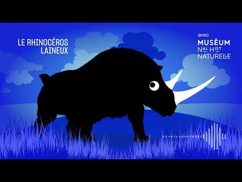 Le rhinocéros laineux : la corne qui sent bon la laine - Bestioles fossiles