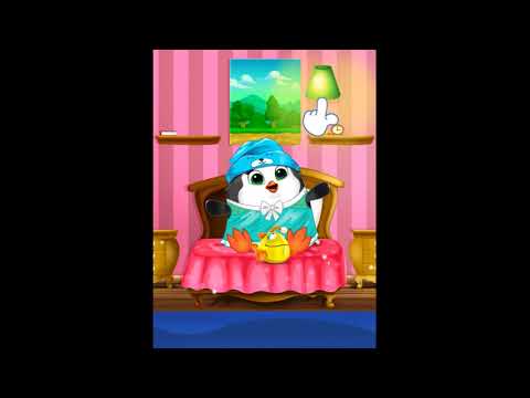 Pets care : pat wash Video