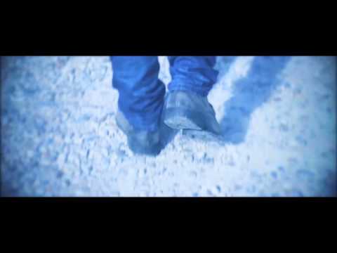 Libélula - Revólver Plateado