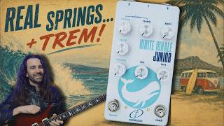 Video thumbnail for The Most Compact REAL Spring Reverb & Trem EVER by Leon Todd