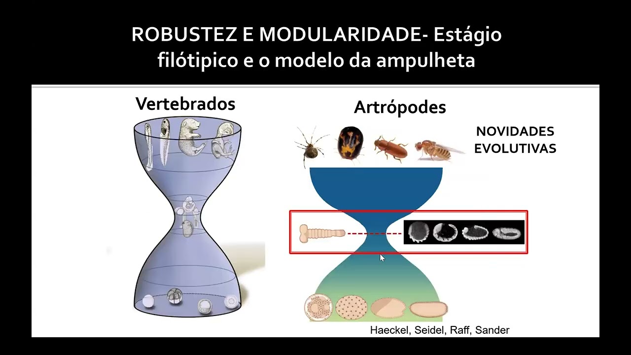 Eco-Evo-Devo - Parte 3