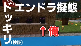 【ドッキリ検証】エンドラに擬態したらバレるのか...？
