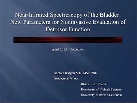 Near-Infared Spectroscopy of the Bladder: New Parameters For Noninvasive Evaluation of Detrusor F...