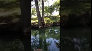 faze tari pe franghie deasupra apei