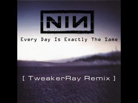 Nine Inch Nails - Every Day Is Exactly The Same (TweakerRay ReMix)
