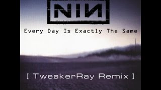 Nine Inch Nails - Every Day Is Exactly The Same (TweakerRay ReMix)