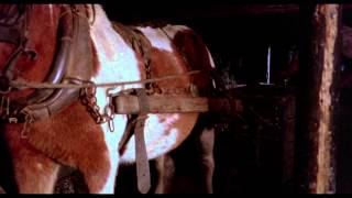 The Littlest Horse Thieves - Trailer