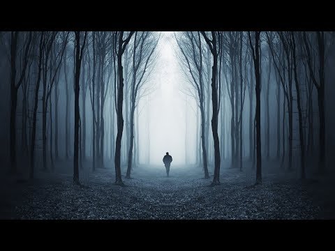 "A Figure in the Fog" creepypasta by Shadowswimmer77 ― Chilling Tales for Dark Nights