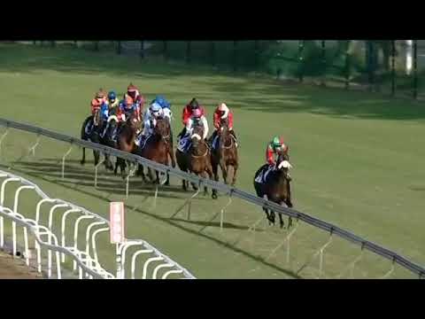 2020.06.28 Daily News 2000 (RSA) - Got The Greenlight