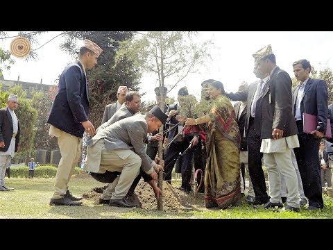 2016 World Wood Day Opening Ceremony - Tree Planting