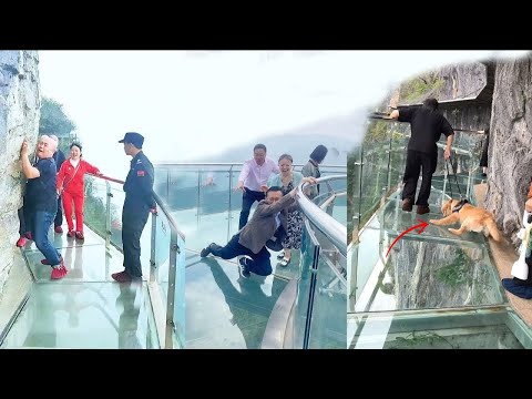 People are terrified to cross glass bridge | Glass bridge crack effect | Glass bridge funny moments