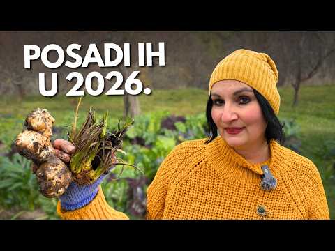 5 Plants That Protect Other Plants in the Garden