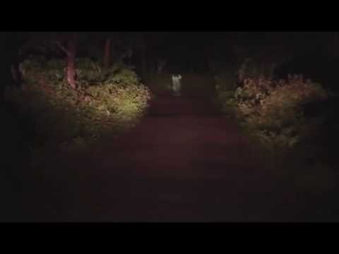 Aparece mujer fantasma cerca de inundaciones en Buenos Aires 2015