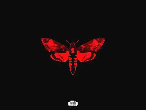 Lil Wayne feat. Shane Heyl - "Hello"