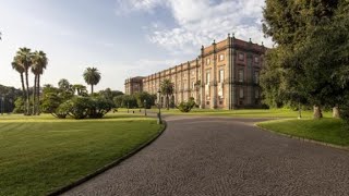 L'energia della bellezza: i pannelli fotovoltaici rendono il Museo di Capodimonte «autosufficiente»