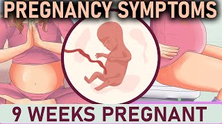 9 Weeks Pregnant | Pregnancy Symptoms