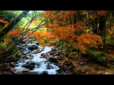 Trance / Progressive mix - 45 Minutes of Mat Zo