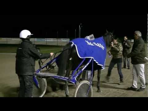 2011 Victoria Park's Gouden Stakes - York Baldwin (John de Leeuw)