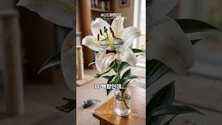 Download lagu Did you know? Essential pet food facts you need to know 🐾 #pets #dogs #cats #shorts #fyp mp3