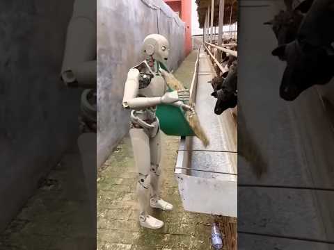 , title : 'China robot hard work 💪❤️👍#short #amizingfacts#viral #facteshindi#robot'