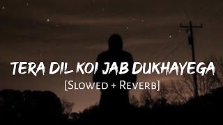 Tera Dil Koi Jab Bhi Dukhayega  Slowed And Reverb 