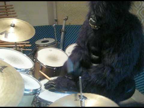 Crazy Gorilla Drummer - Plays One Drop (Reggae Drumming)