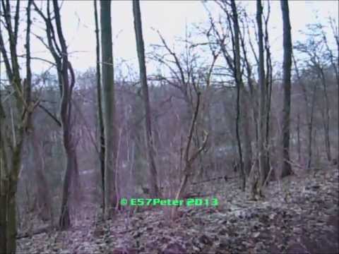 "Warnung der Bevölkerung" in Köln - Sirene EPS 2400