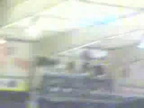 Kassel Huskies Finale 2008