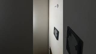 我々ASDはこの社会では死んだ方がはやく天国に行けるようだ