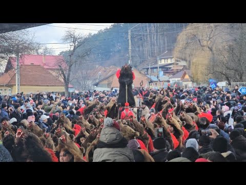 Festivalul De Datini Și Obiceiuri Strămoșești Comanesti 2025