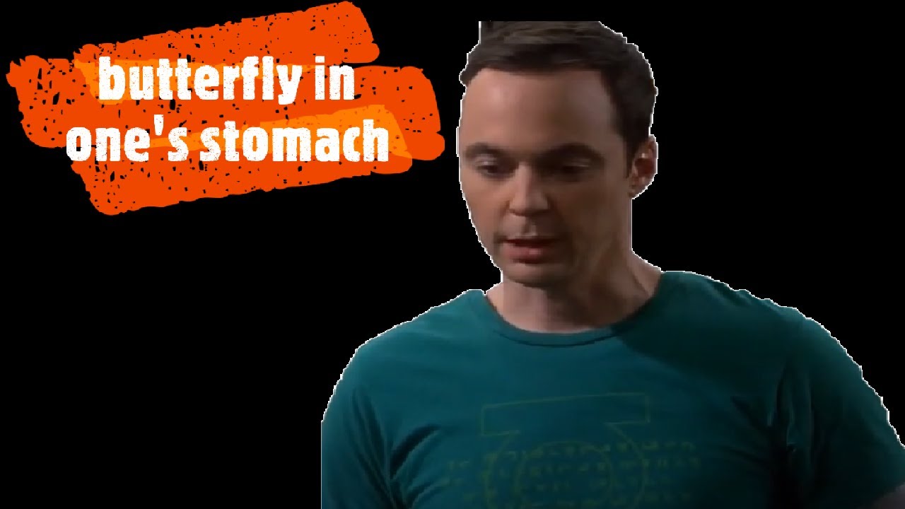 butterfly in one's stomach (Idioms in famous TV series)