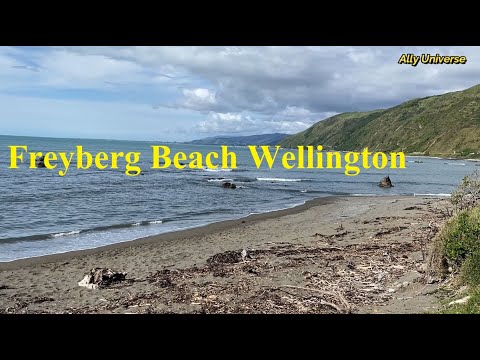 Freyberg Beach Wellington, New Zealand