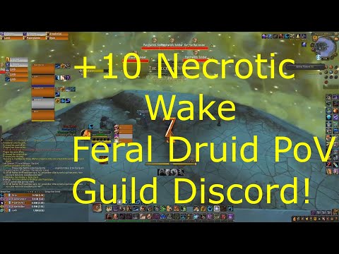 Mythic +10 Necrotic Wake Feral Druid PoV - Guild Run - 9.1 Shadowlands