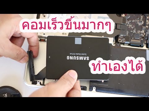 เพิ่มขึ้นเมล็ดฟักทองแรง อวัยวะเพศชายขนาดเล็ก