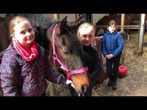 Ponykampdagen 26 en 27 februari 2018