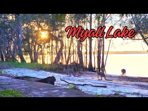 Myall Lake