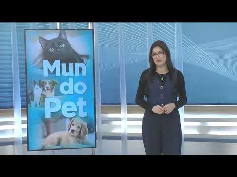 CNT Notícias RJ de 28/08/2026 na Íntegra