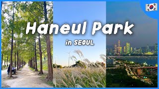 Haneul Park in SEOUL (Silver Grass Festival) | Korea Travel tips