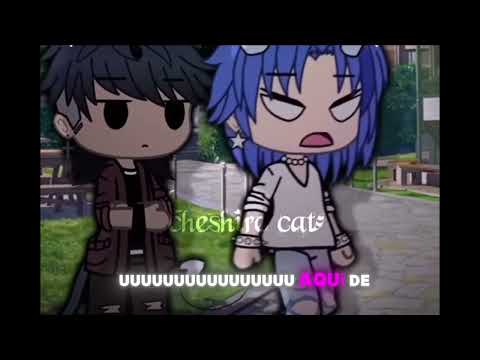 13 de agosto de 2024